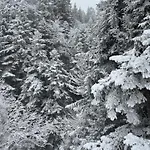 A La Ferme Au Coeur De L'auvergne *