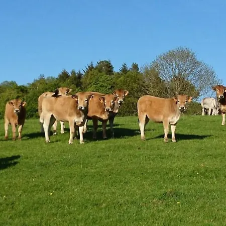 A La Ferme Au Coeur De L'auvergne Dom wakacyjny Saint-Hippolyte (Cantal)