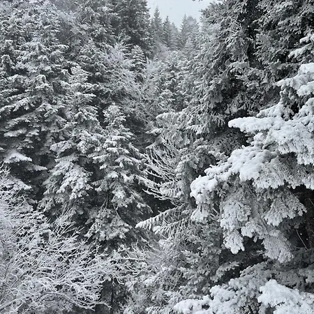 A La Ferme Au Coeur De L'auvergne *