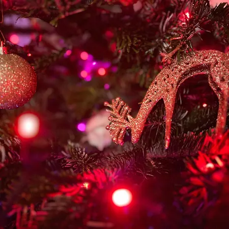à La Ferme Au Coeur De L'auvergne