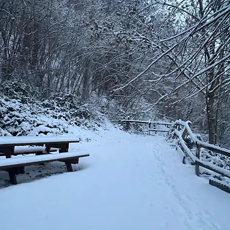 A La Ferme Au Coeur De L'auvergne *